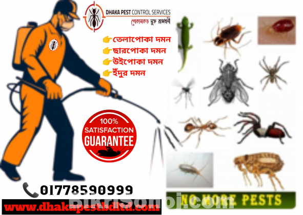 Pest Control Service Dhaka Bangladesh